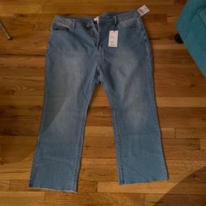 Light Wash Cropped Jeans (Plus)